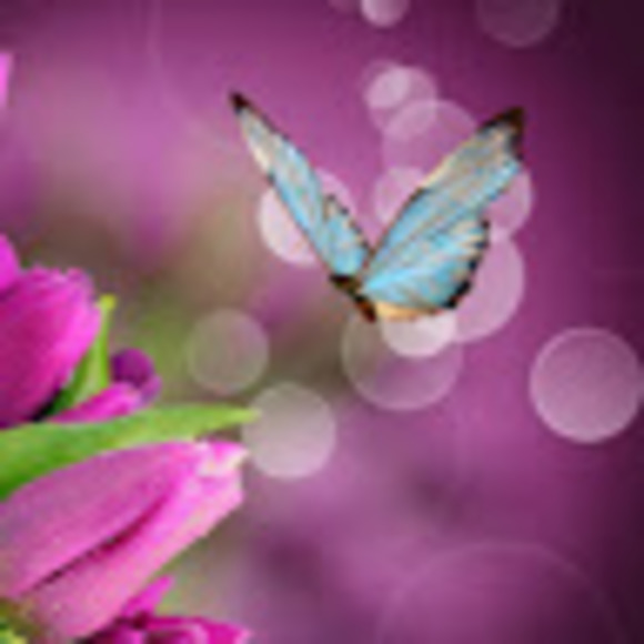 Meet your Posher, Veronica - Picture 1 of 1